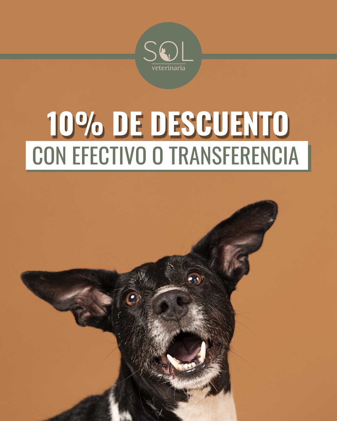 Promoción 2