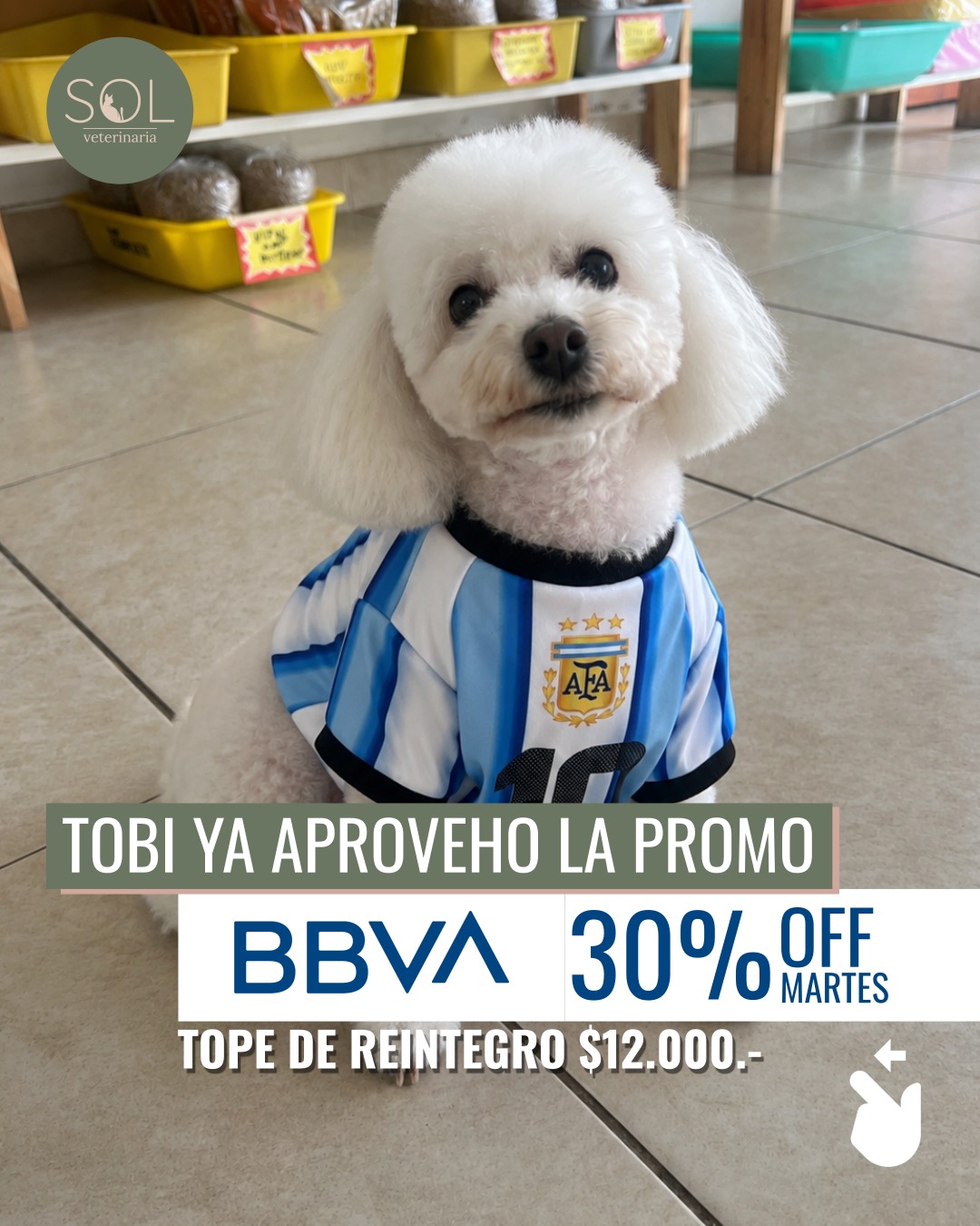 Promoción 6